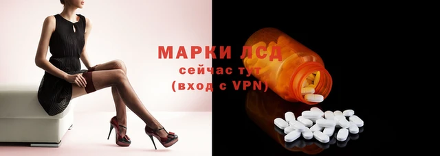 СК Володарск