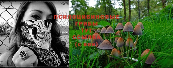 прущая мука Волоколамск