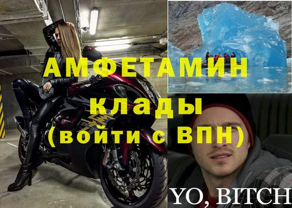 сатива Снежногорск
